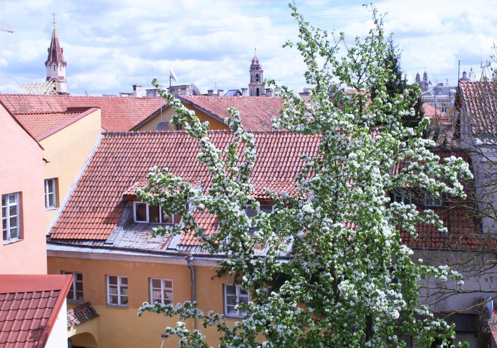 Old Town Apartment Antokolskio Vilnius Exterior photo